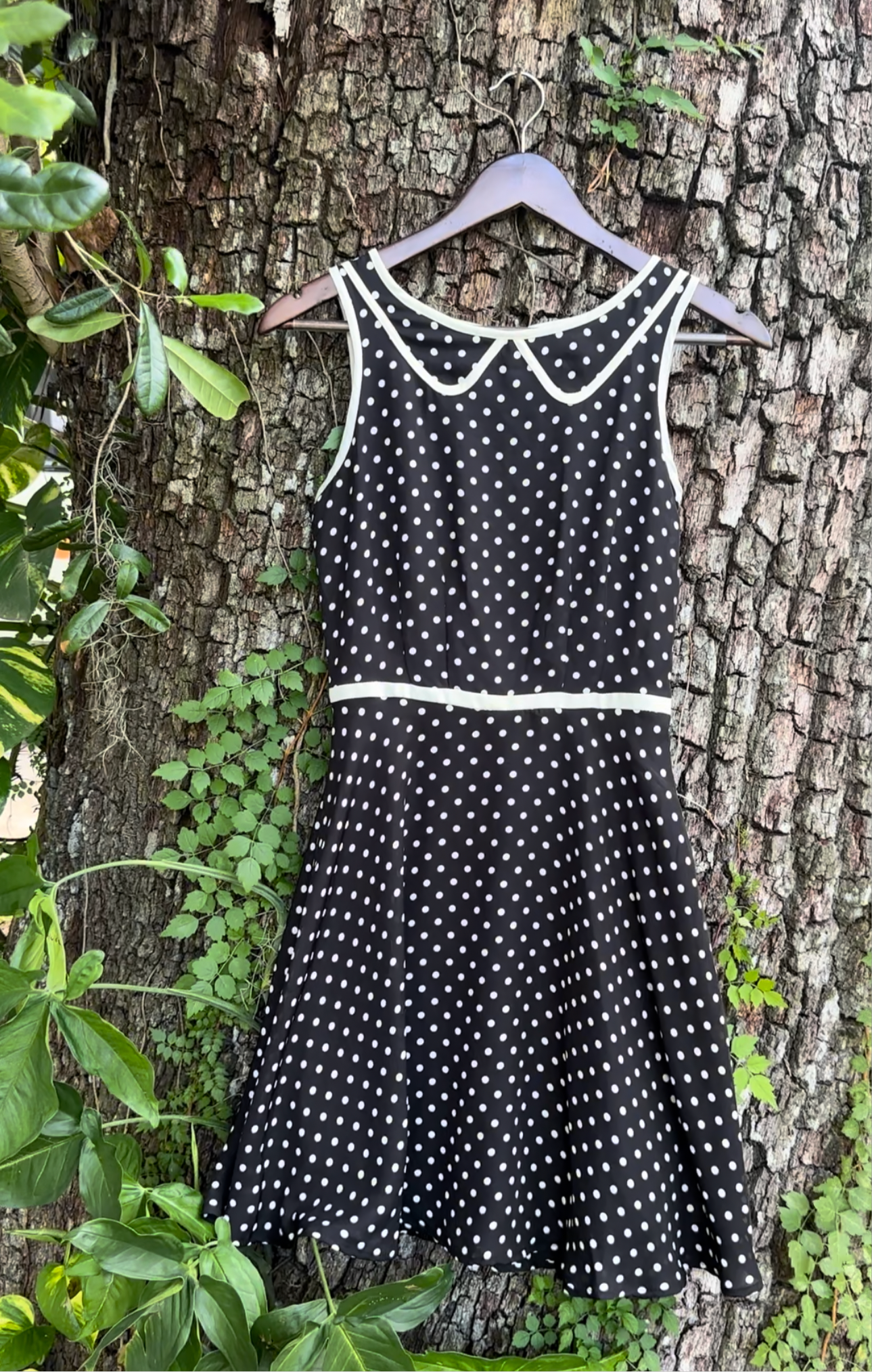 Lauren Conrad Black Polka Dot (XS/SMALL)