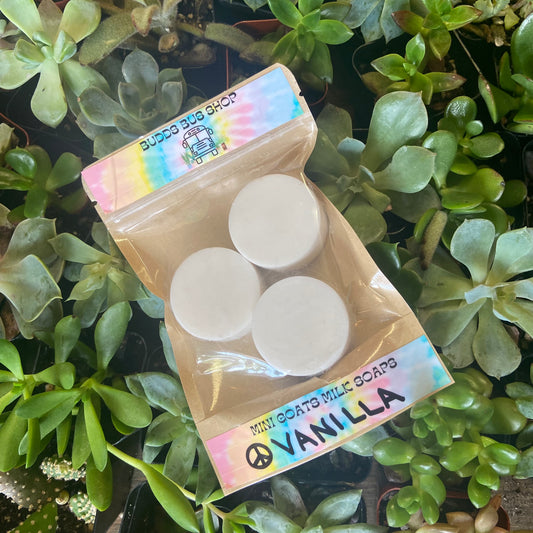 Mini Vanilla Soap Rounds