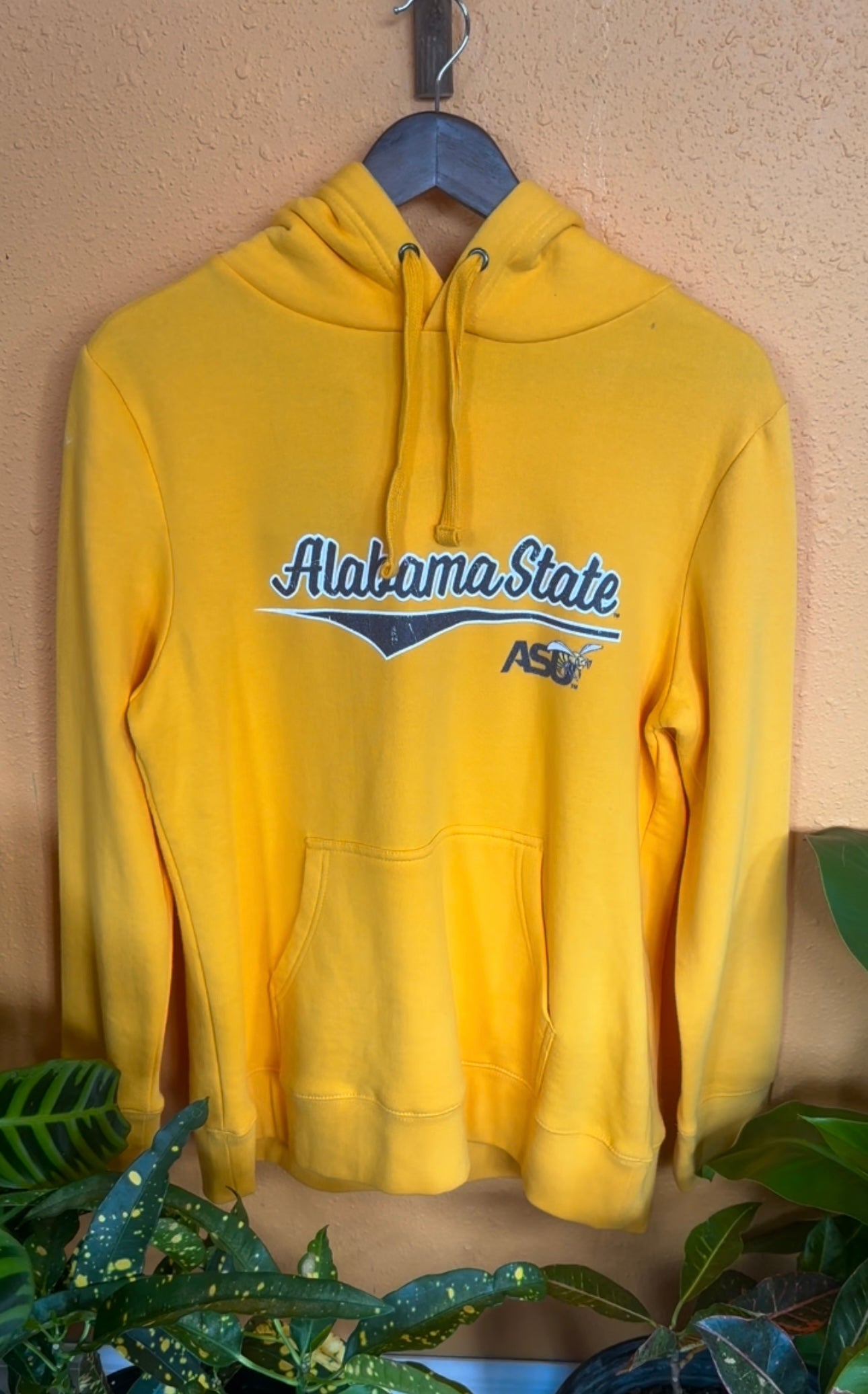 ALABAMA STATE HOODIE (LARGE)