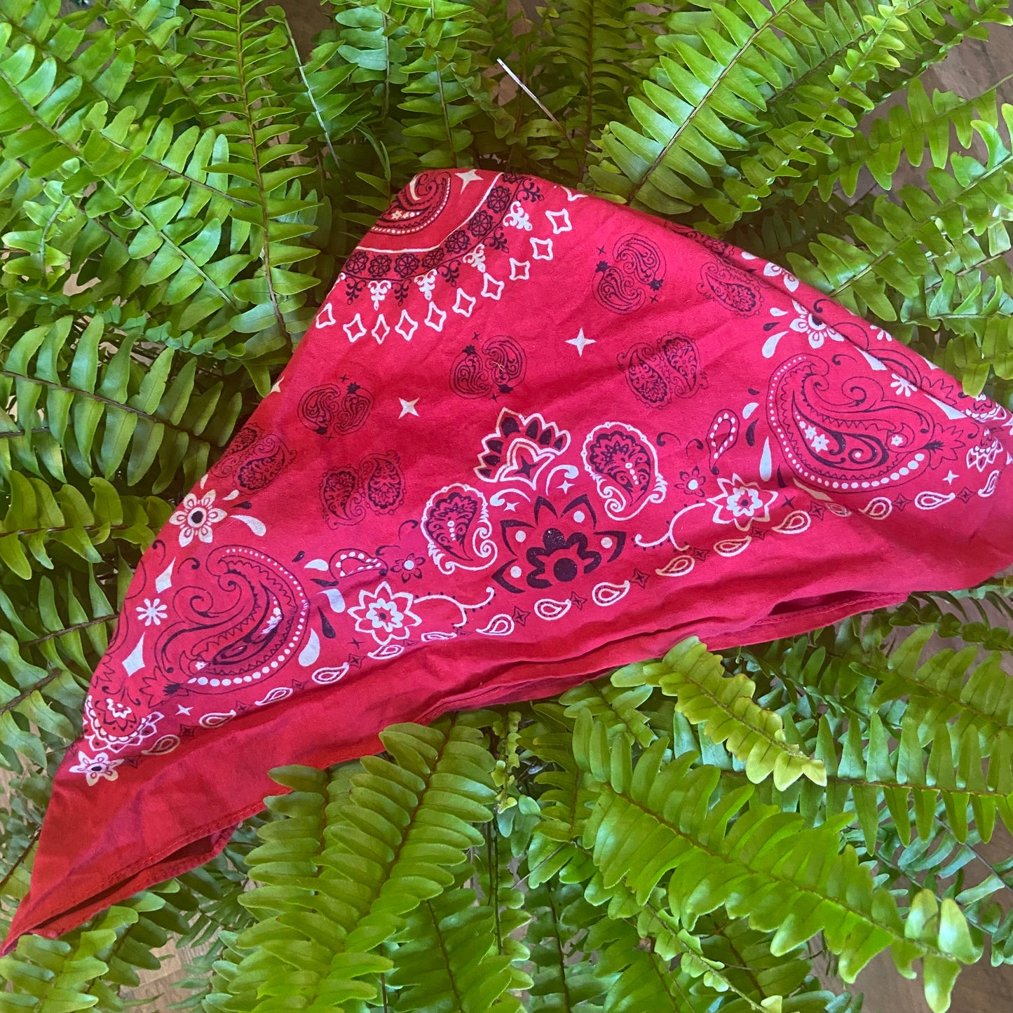 Red Bandanna