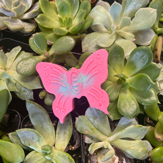 Watermelon Butterfly Soap