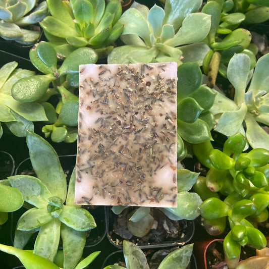 Lavender Soap