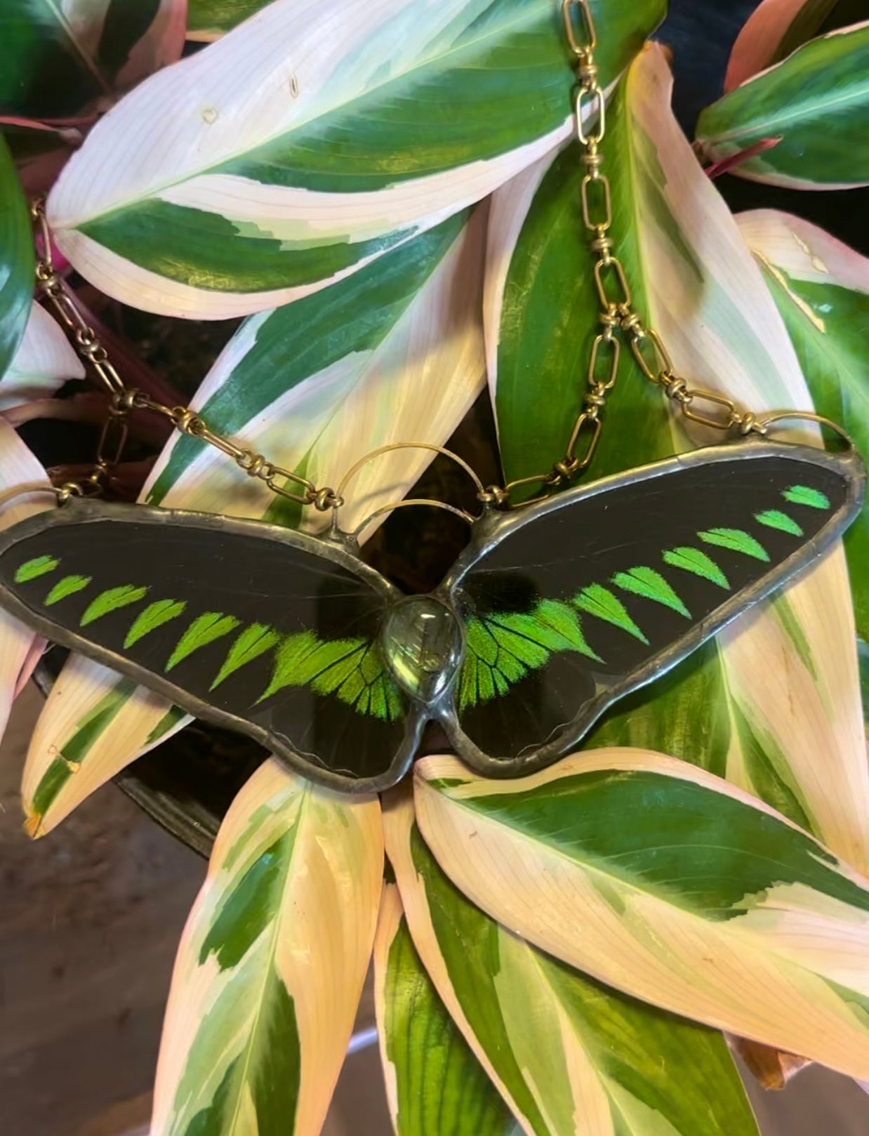 VIPER STAINED GLASS REAL BUTTERFLY AND LABRADORITE  CRYSTAL PENDANT