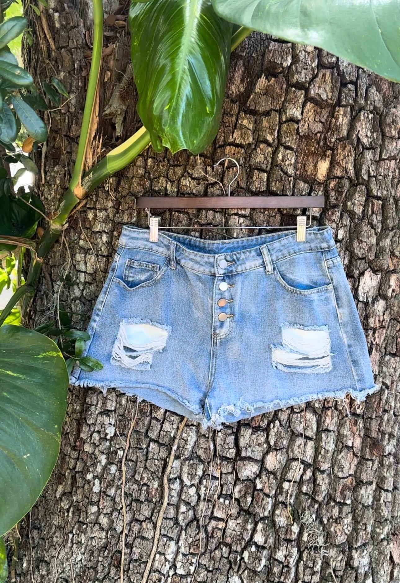 Button Up Jean Shorts ( LARGE )