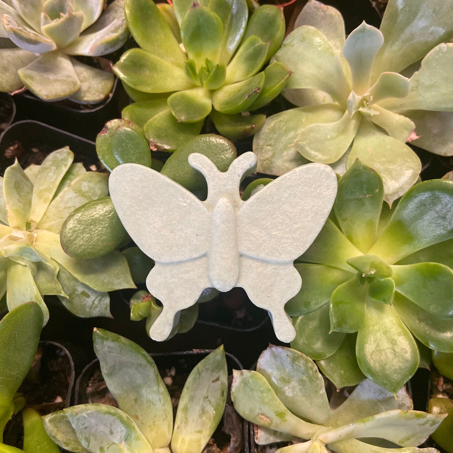 Patchouli Butterfly Soap